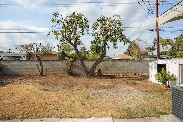 view of yard with a storage shed