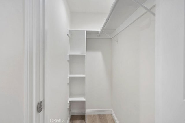 spacious closet featuring hardwood / wood-style floors