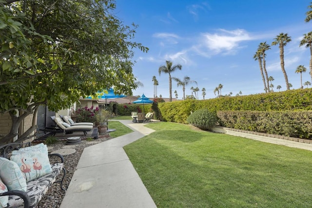 view of yard with a patio