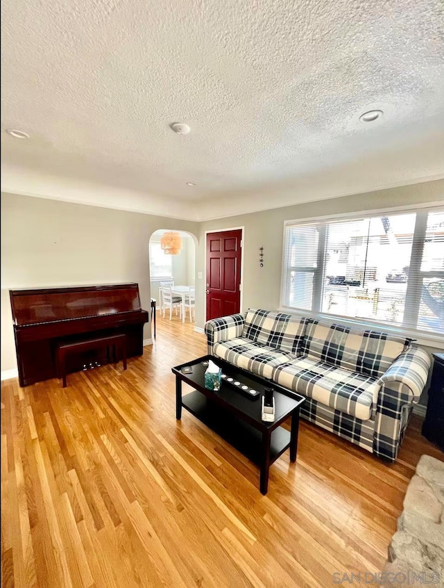 living room with light hardwood / wood-style floors and a textured ceiling