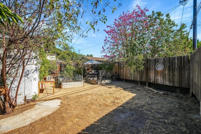 view of yard with a patio