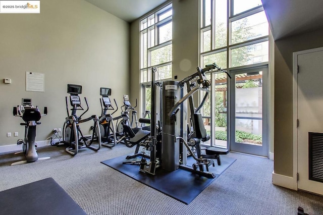 gym with a high ceiling, expansive windows, carpet floors, and a wealth of natural light