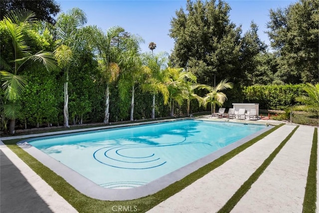 view of pool with a patio area