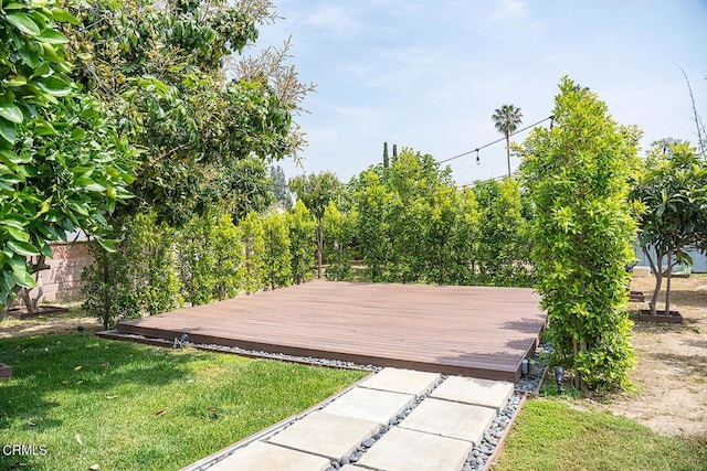 deck featuring a lawn