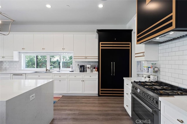 kitchen featuring sink, high end appliances, tasteful backsplash, white cabinets, and dark hardwood / wood-style flooring