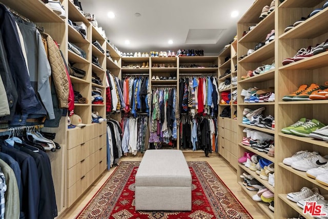 spacious closet with light hardwood / wood-style flooring