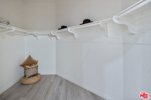 spacious closet with light wood-type flooring