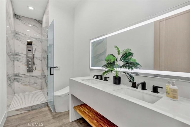 bathroom featuring walk in shower, vanity, and toilet