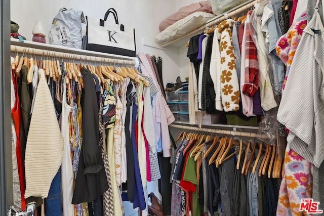 view of walk in closet