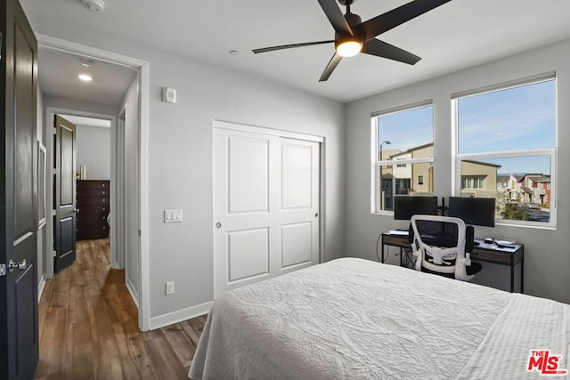 bedroom featuring dark hardwood / wood-style flooring, ceiling fan, and a closet