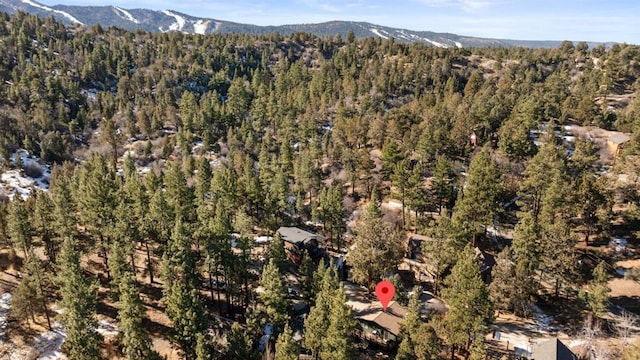 bird's eye view with a mountain view