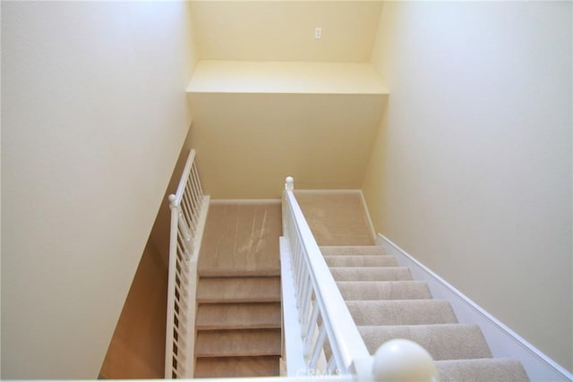 staircase featuring carpet flooring