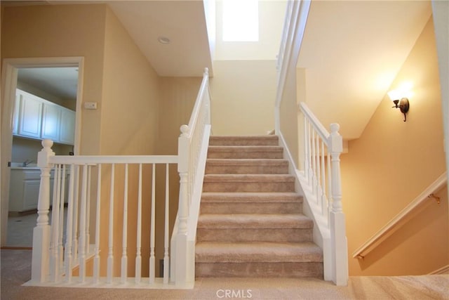 stairs with carpet flooring