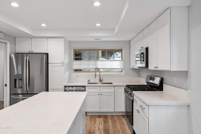 kitchen with white cabinetry, sink, light stone counters, a tray ceiling, and stainless steel appliances