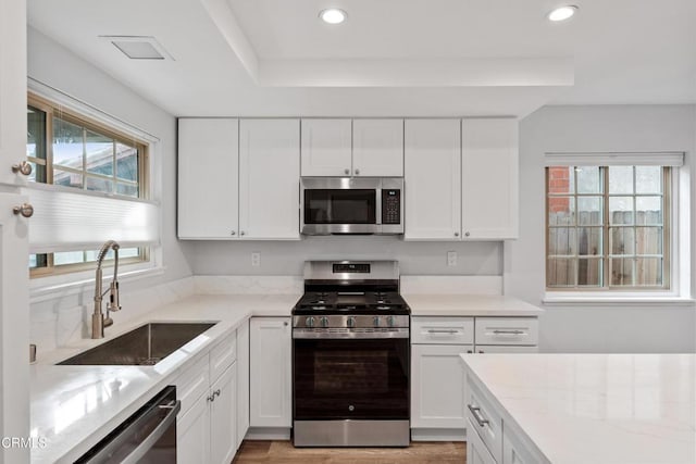 kitchen featuring white cabinetry, a healthy amount of sunlight, stainless steel appliances, and sink