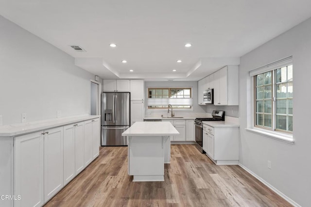 kitchen with white cabinetry, a center island, light wood-type flooring, a raised ceiling, and stainless steel appliances