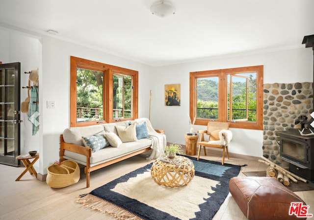 living room featuring a healthy amount of sunlight, light hardwood / wood-style floors, and a wood stove