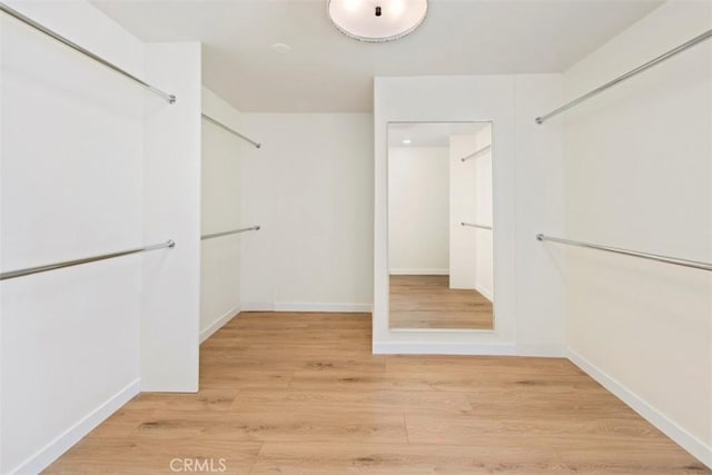 spacious closet featuring light wood-type flooring