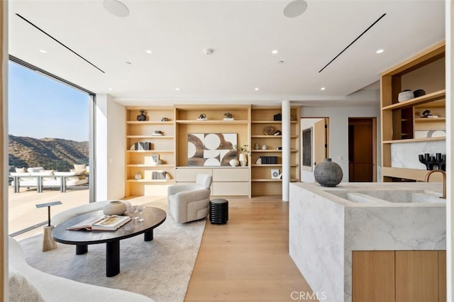 interior space featuring expansive windows, a mountain view, and light wood-type flooring