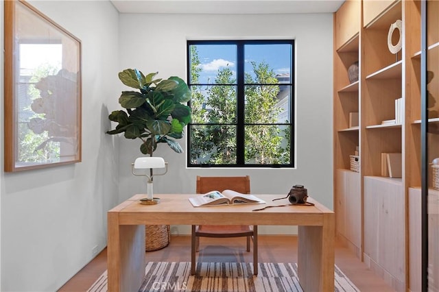 office space with hardwood / wood-style flooring