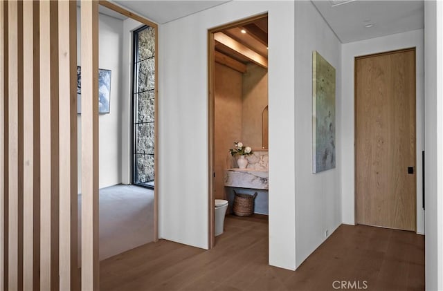 corridor with hardwood / wood-style floors