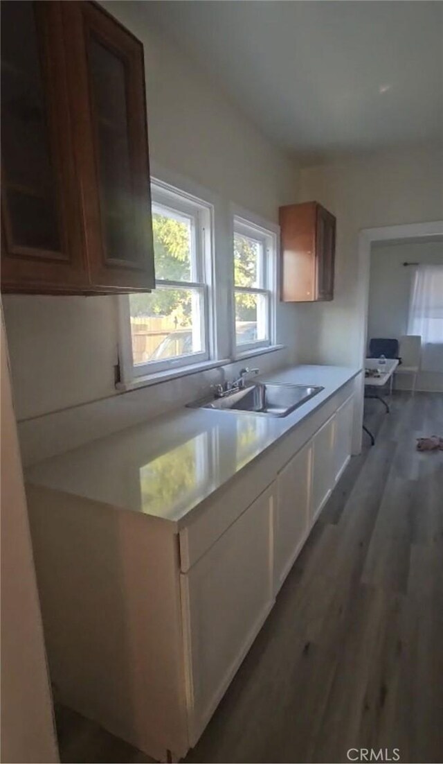 kitchen with dark hardwood / wood-style floors and sink