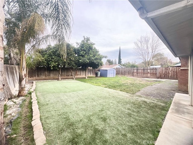 view of yard featuring a storage unit