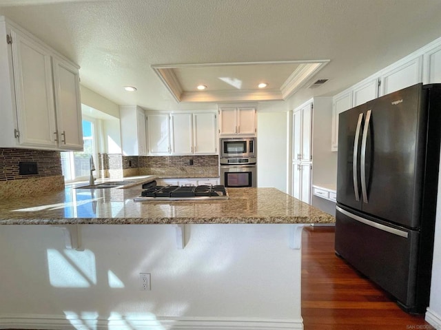 kitchen featuring a raised ceiling, appliances with stainless steel finishes, a breakfast bar area, and kitchen peninsula