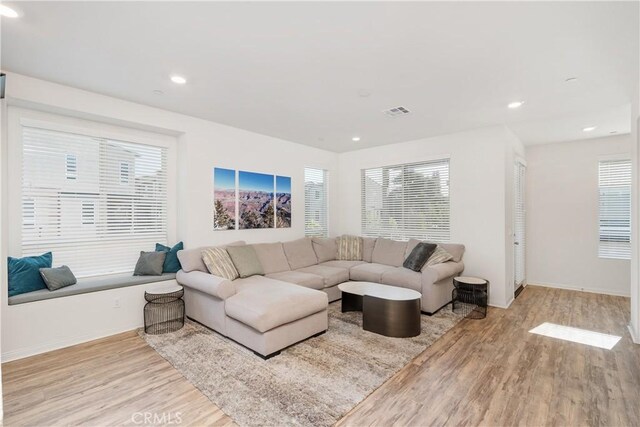 living room with a healthy amount of sunlight and light hardwood / wood-style flooring