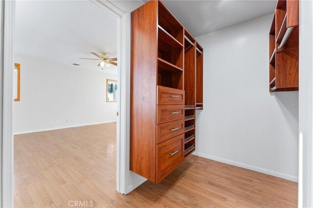 spacious closet with light hardwood / wood-style flooring and ceiling fan