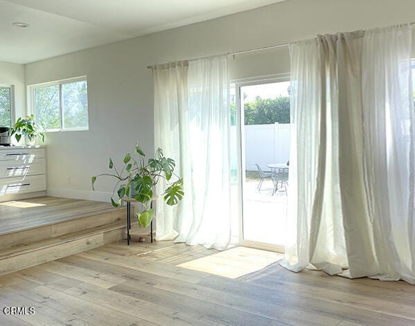 doorway featuring plenty of natural light and light wood-type flooring