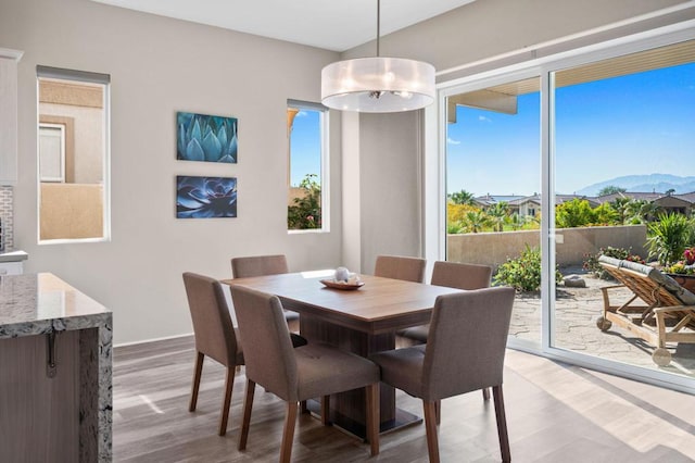 dining area featuring a mountain view and hardwood / wood-style floors