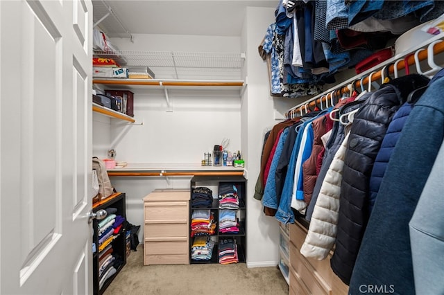 walk in closet featuring light colored carpet