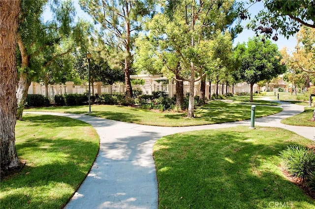 view of property's community featuring a yard