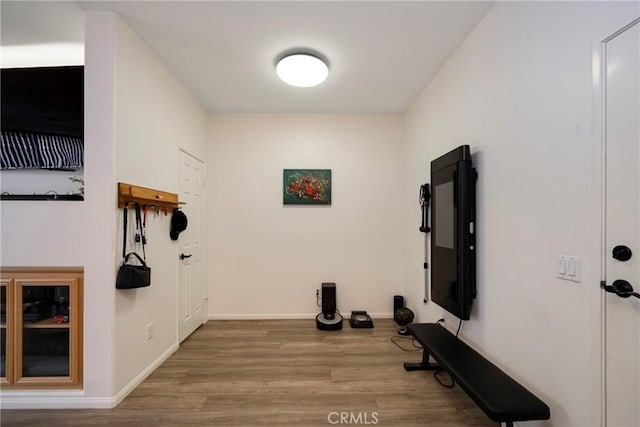 workout room with hardwood / wood-style floors