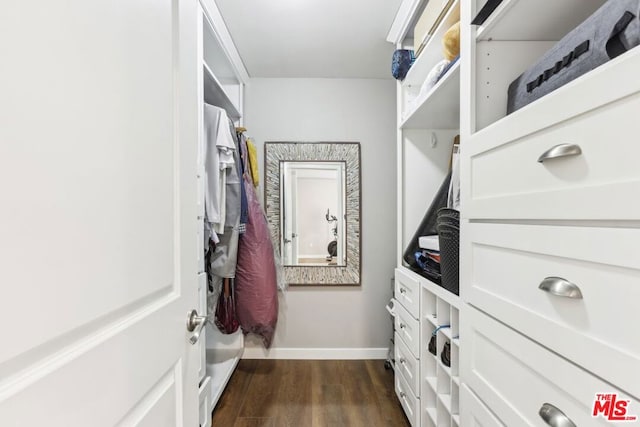 spacious closet with dark wood-type flooring