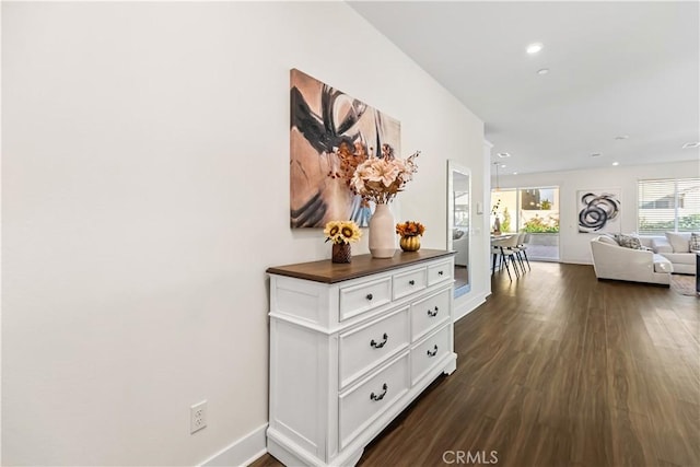 corridor featuring dark hardwood / wood-style flooring