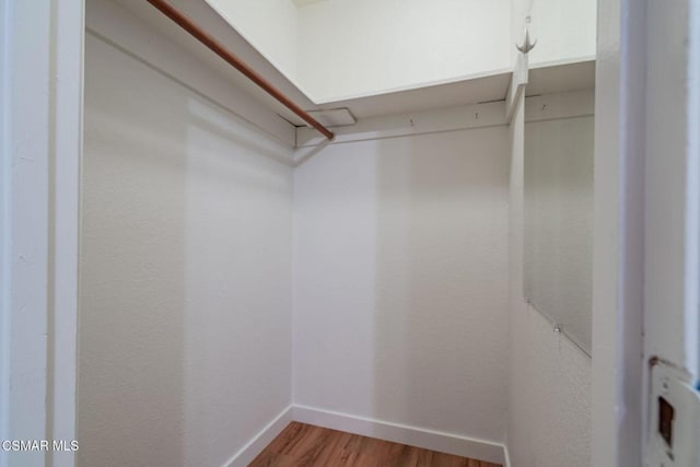 walk in closet with wood-type flooring