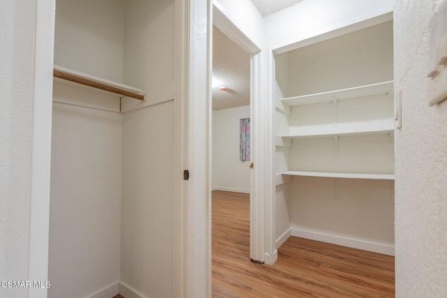 spacious closet with hardwood / wood-style floors