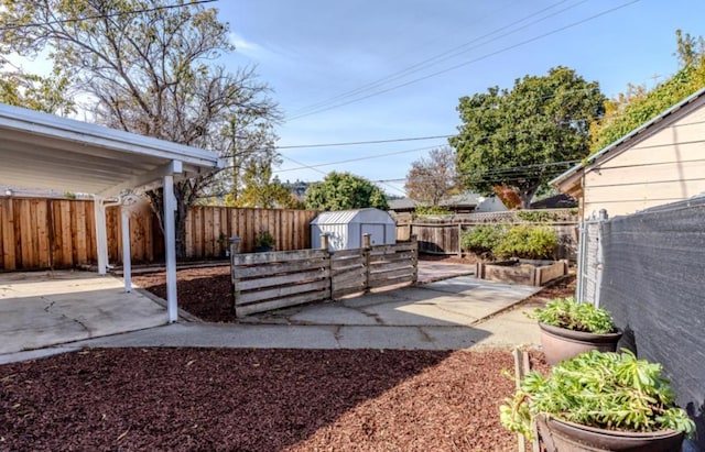 view of yard featuring a storage shed and a patio area