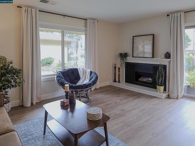 living room with plenty of natural light and light wood-type flooring