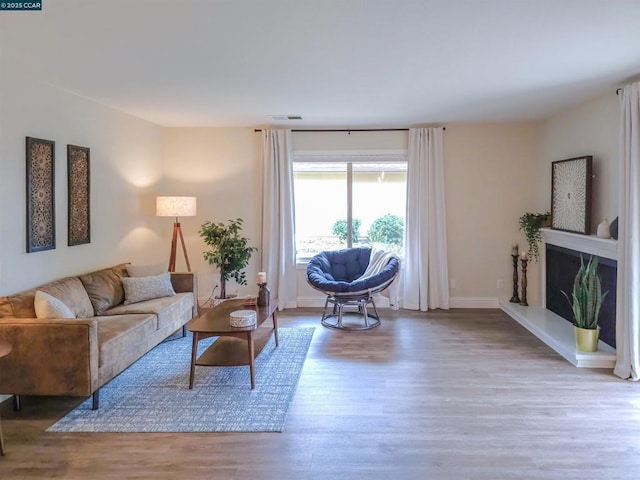 living room featuring light hardwood / wood-style floors