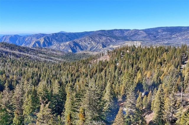 7430 Henness Ridge Rd, Yosemite, CA 95389 - photo 48