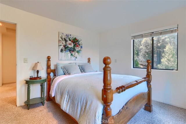 7430 Henness Ridge Rd, Yosemite, CA 95389 - photo 17