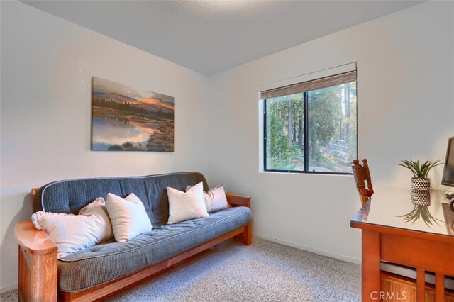 7430 Henness Ridge Rd, Yosemite, CA 95389 - photo 23