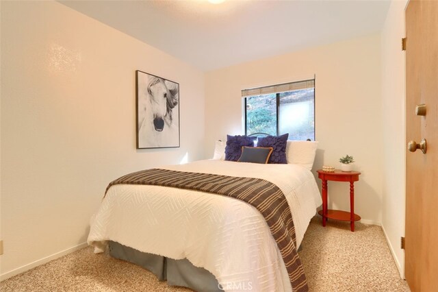 7430 Henness Ridge Rd, Yosemite, CA 95389 - photo 19