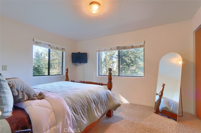 7430 Henness Ridge Rd, Yosemite, CA 95389 - photo 16