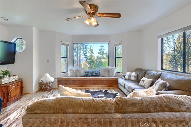 7430 Henness Ridge Rd, Yosemite, CA 95389 - photo 8