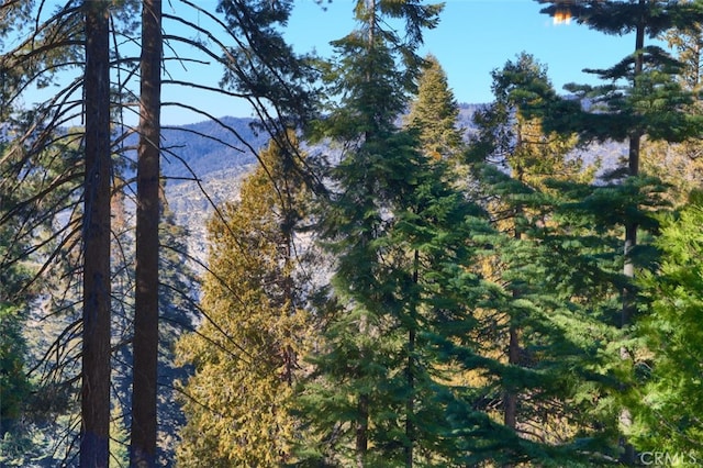 7430 Henness Ridge Rd, Yosemite, CA 95389 - photo 47