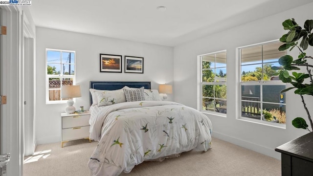 carpeted bedroom with multiple windows